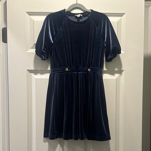 Jcrew blue velvet dress